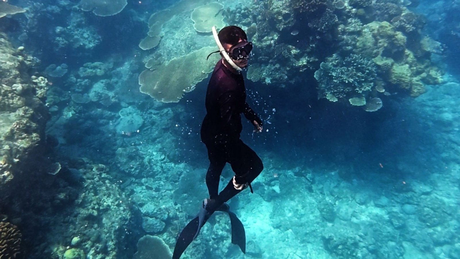 Dari Ruang Kelas ke Dasar Laut: Cara Kreatif Eggi Julianto Jaga Ekosistem Natuna